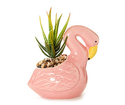 Succulent Plant in Ceramic Flamingo Pot