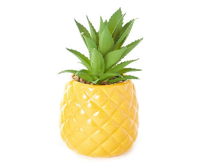 Succulent Plant in Ceramic Pineapple Pot