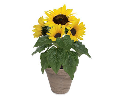 Dwarf Sunflower Grow Kit with Terra-Cotta Pot