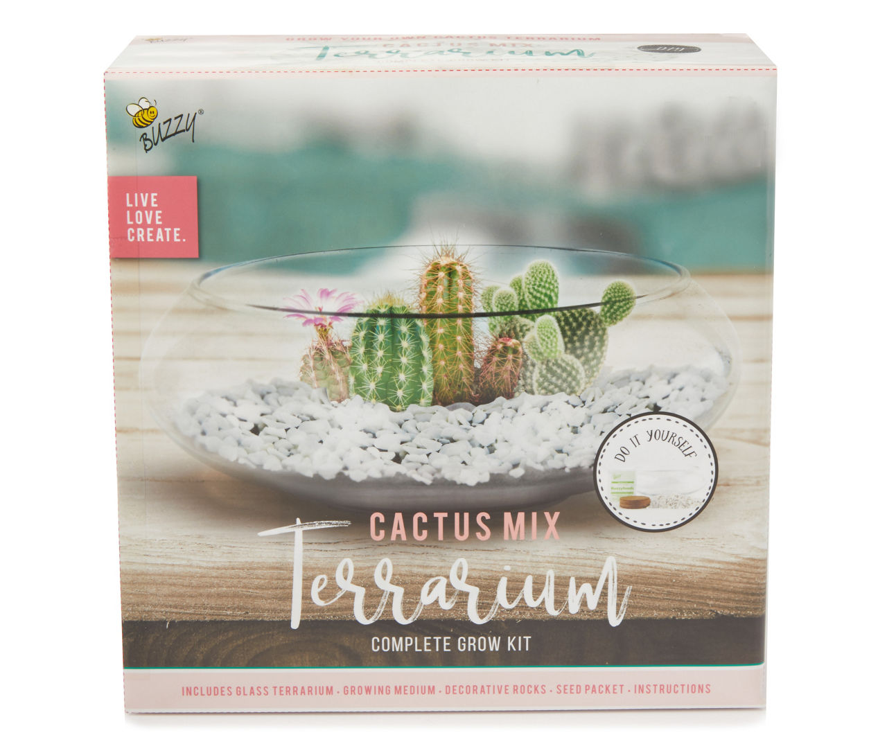 Buzzy Cactus Grow Kit with Glass Terrarium Big Lots