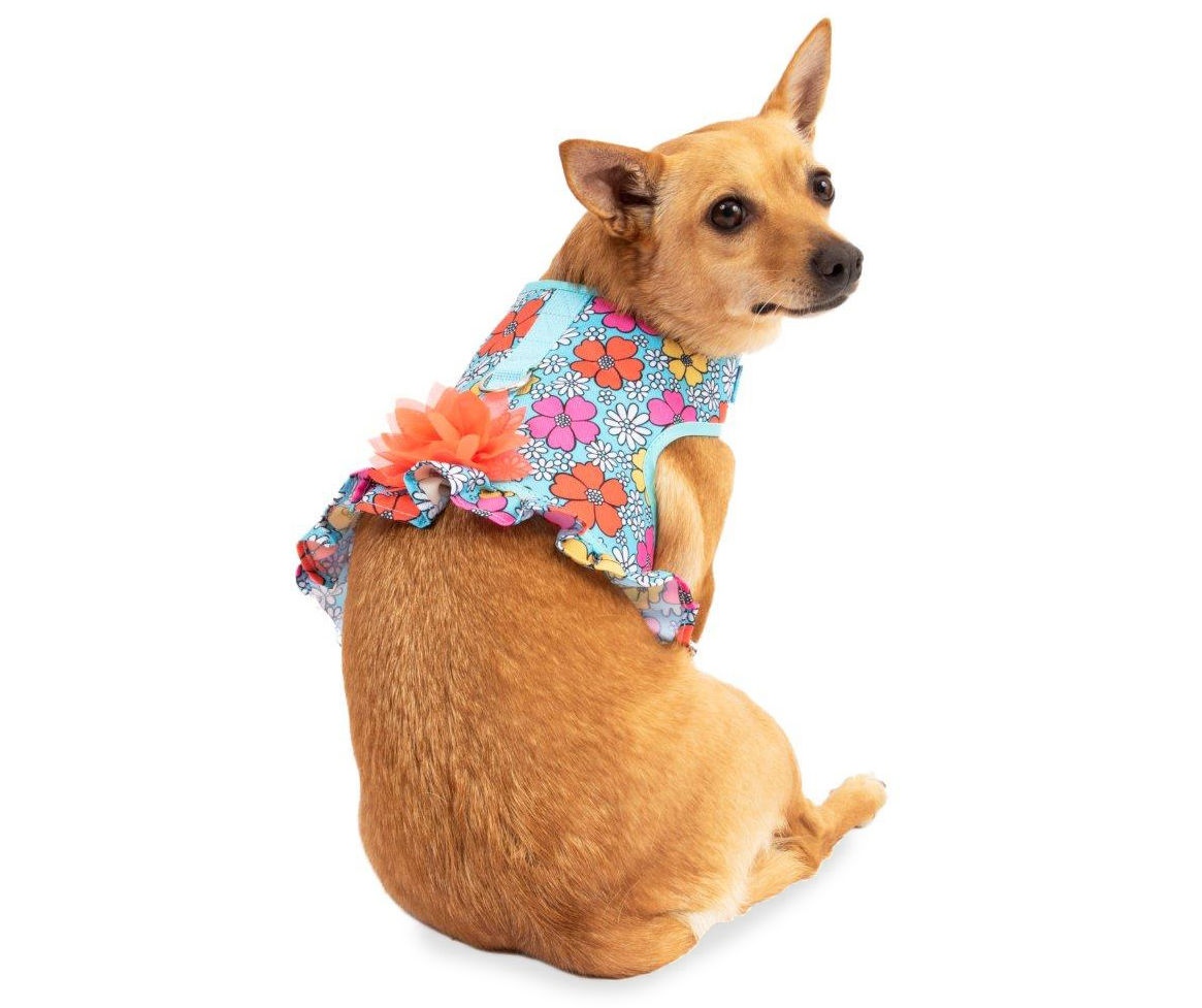 Daisy print 2024 dog harness