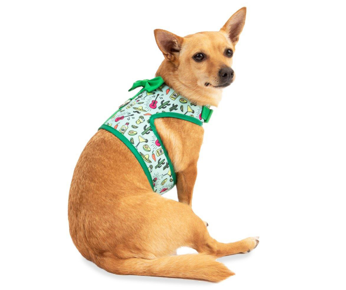 Big lots dog harness hotsell