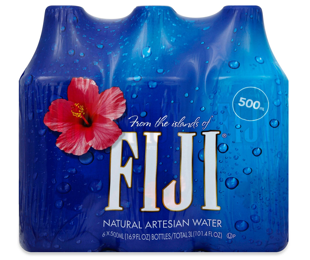 FIJI Natural Artesian Bottled Water, 6-Pack | Big Lots