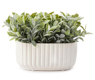 Greenery Plant in Rib Ceramic Pot