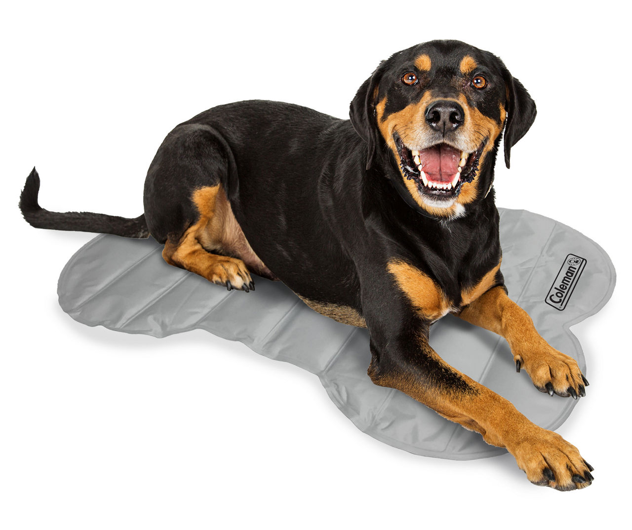 Coleman Gray Bone Pet Cooling Mat 24 x 34 Big Lots