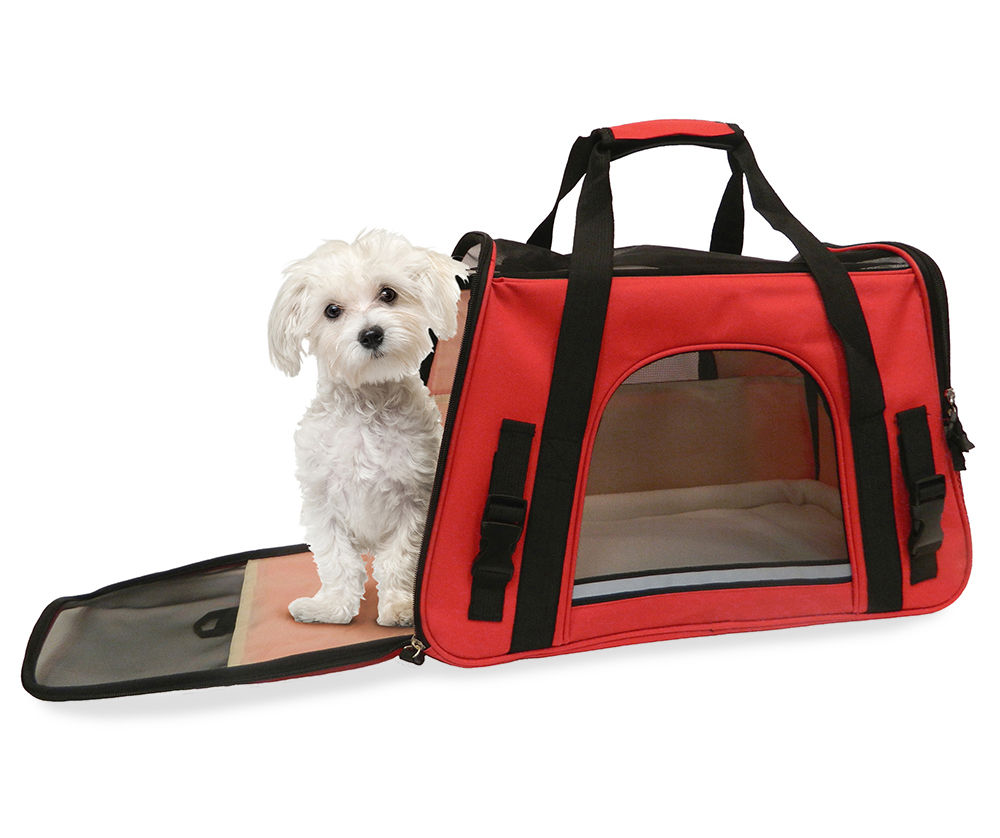 Big lots 2025 pet carrier