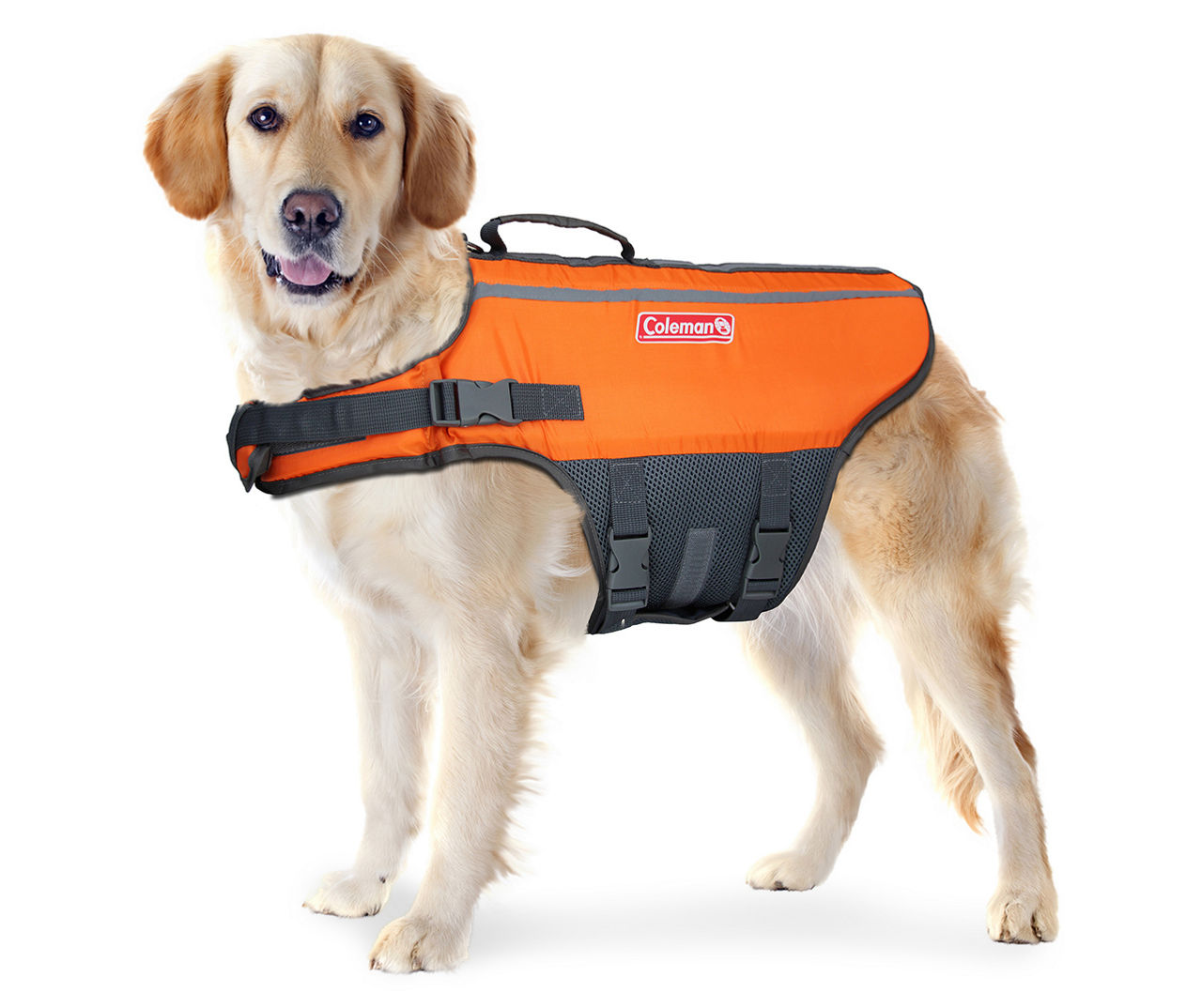 Granby Dog Life Jacket from Outward Hound Review! 