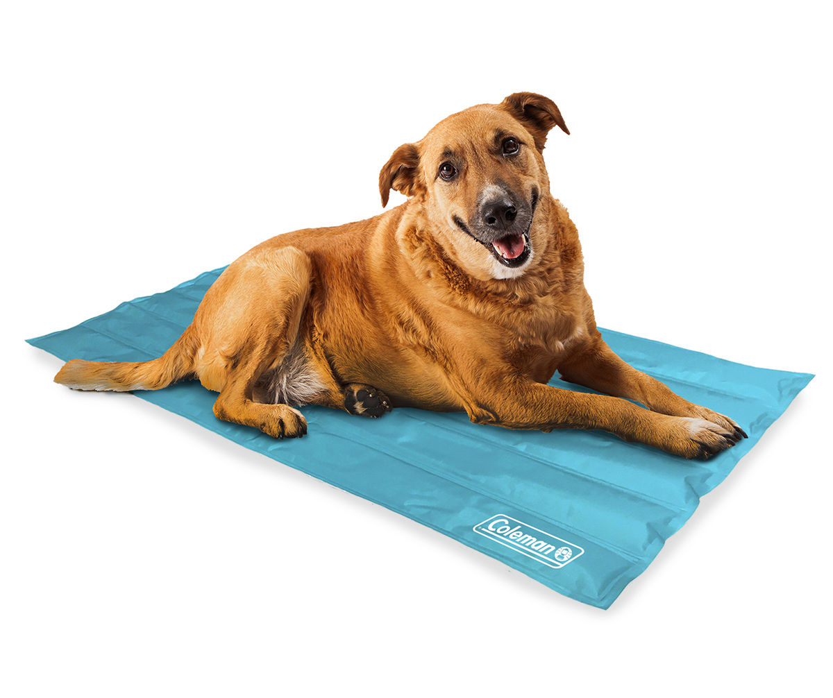 Pet cooling deals mat big w