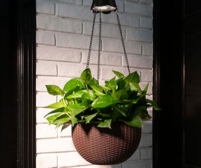 Wicker Hanging Basket with Solar Light