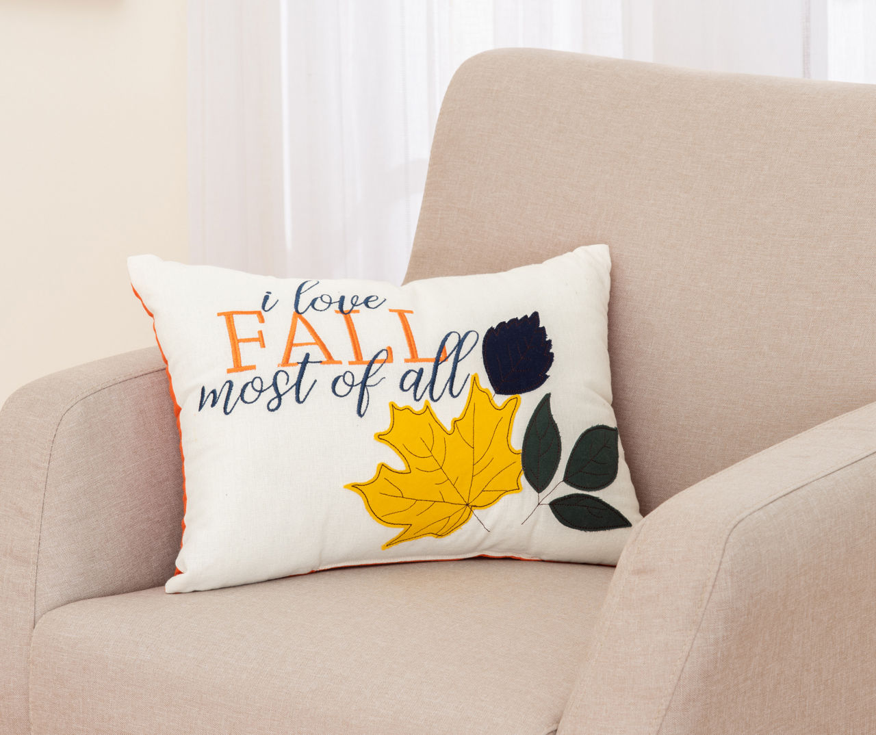 Big lots outlet fall pillows