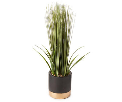 Grass Plant in Black & Gold Cement Pot