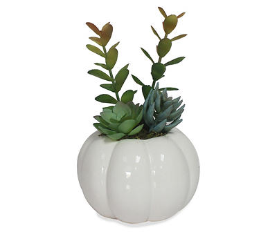 4" Succulents in White Ceramic Pumpkin