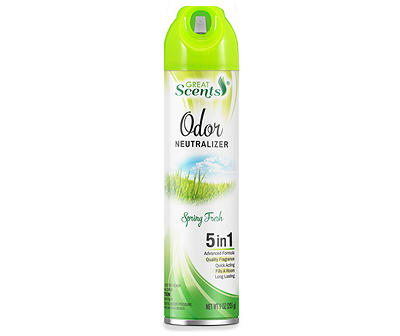 GREAT SCENTS SPRING FRESH 9 OZ