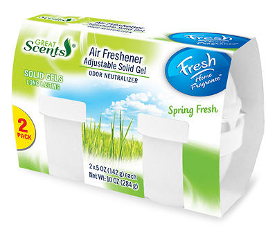Spring Fresh Solid Air Freshener, 2-Pack