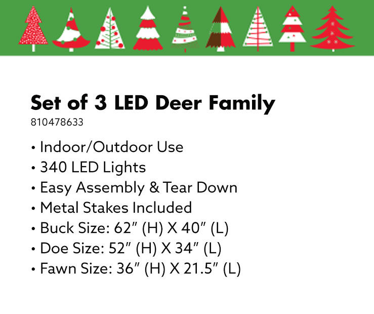 Winter Wonder Lane LED 3Piece White Deer Set Big Lots