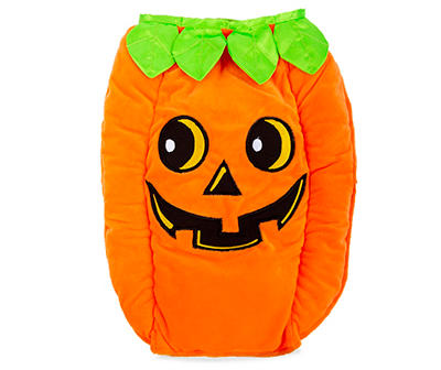 Dog's Pumpkin Costume