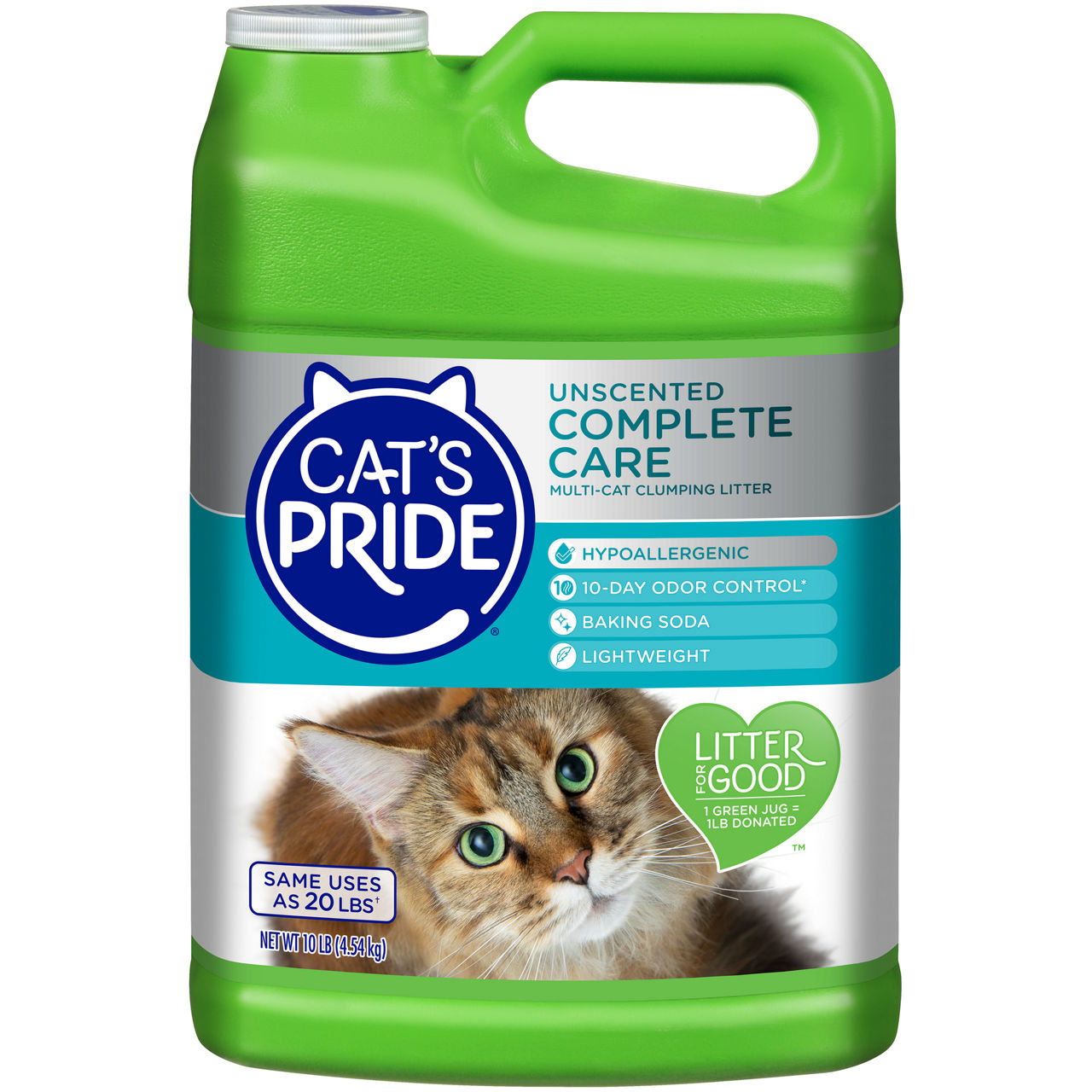 Cat litter 2025 big lots