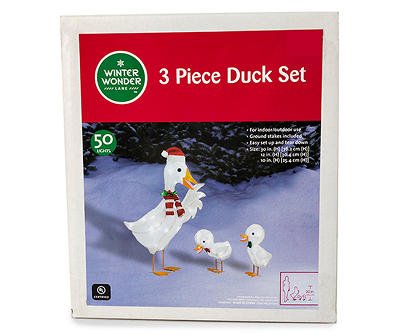 Light-Up 3-Piece Duck Family Set