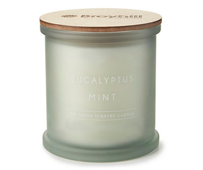 Eucalyptus Mint 3-Wick Candle, 20 Oz.