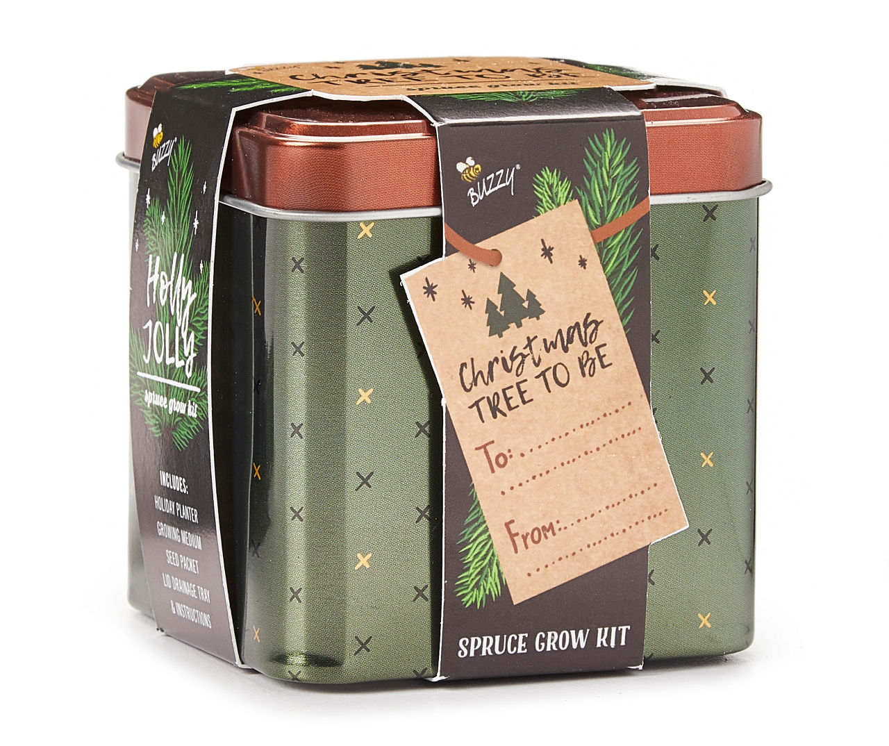 Buzzy Holly Jolly Spruce Grow Kit Big Lots