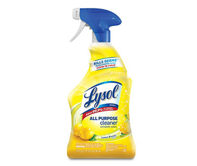 Lemon Breeze All Purpose Cleaner, 19 Oz.