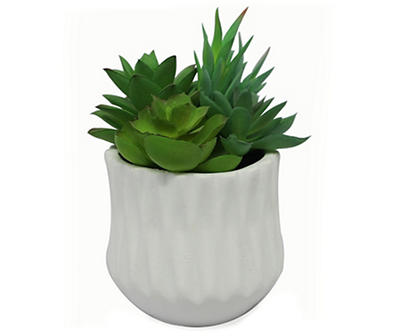 Succulents in Carved Cement Pot