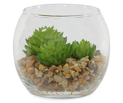Succulent Trio in Glass Bowl