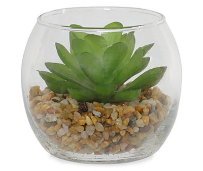 Succulent in Glass Bowl