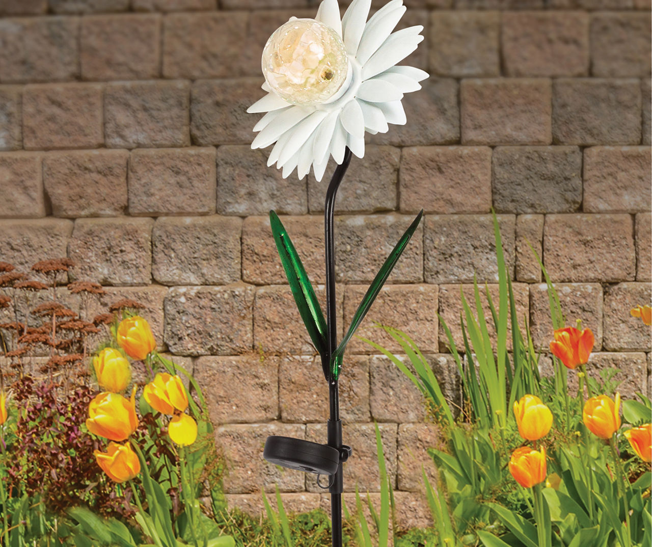 Daisy on sale solar lights