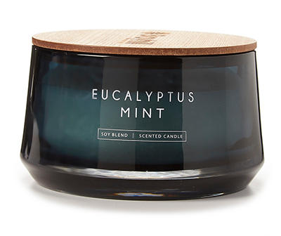 Eucalyptus Mint 3-Wick Jar Candle, 14 Oz.