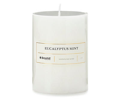 Eucalyptus Mint Pillar Candle, (4