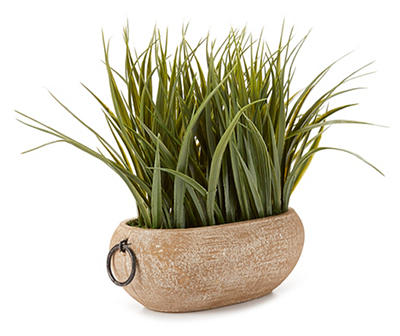 Grass Plant in Oval Pot