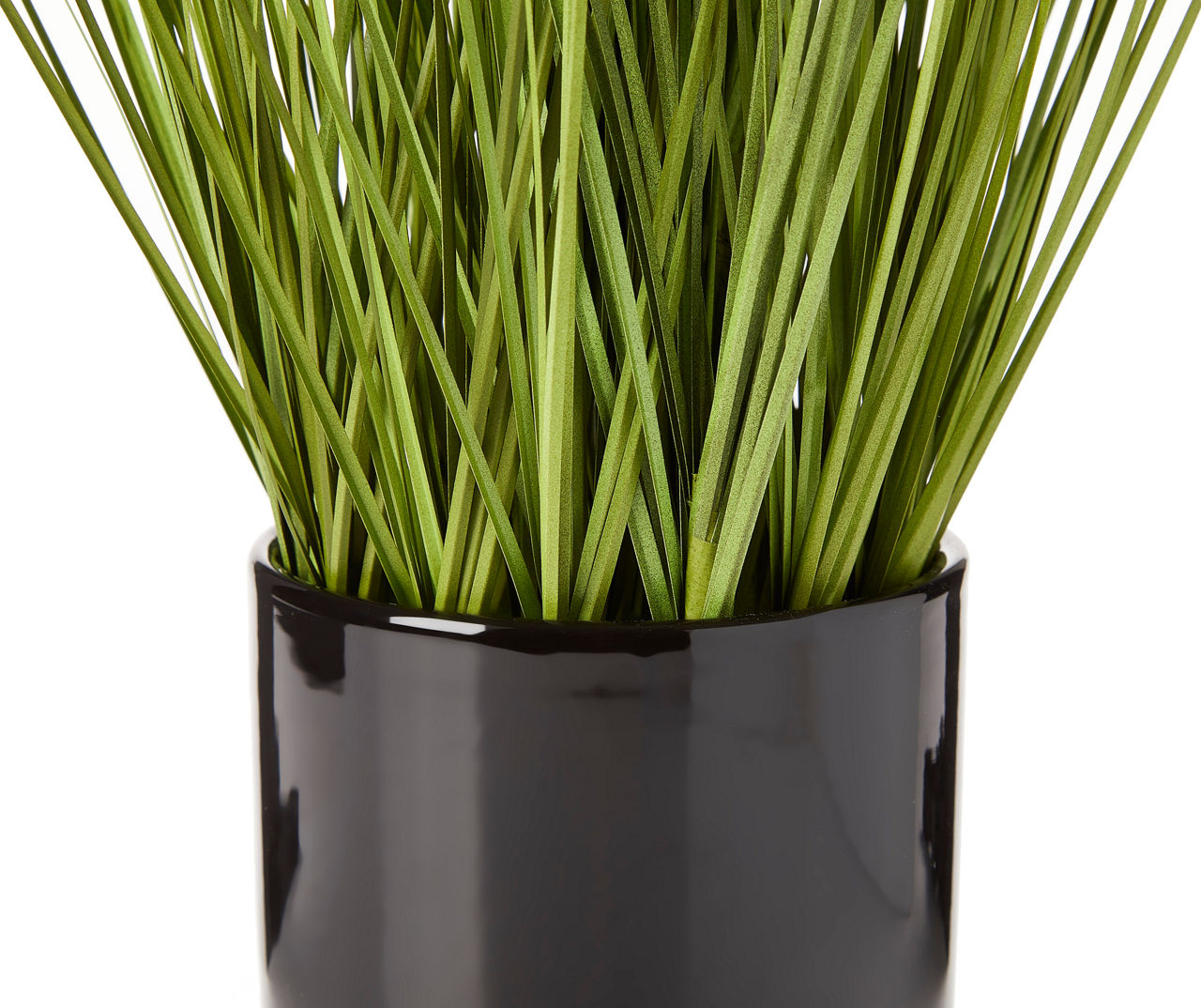 Grass Plant in Pot