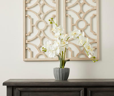 White Orchid Plant in Gray Ceramic Pot