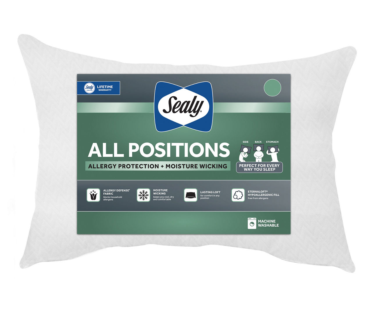 Sealy all 2025 positions pillow