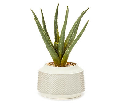 Aloe in Chevron Ceramic Pot