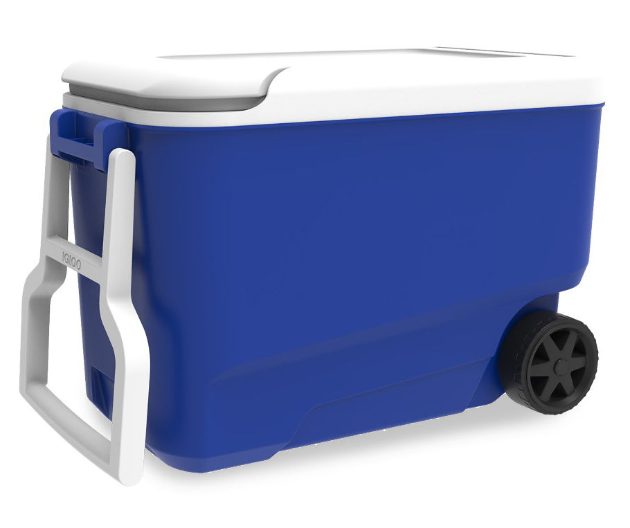 Igloo cooler hot sale 38 quart