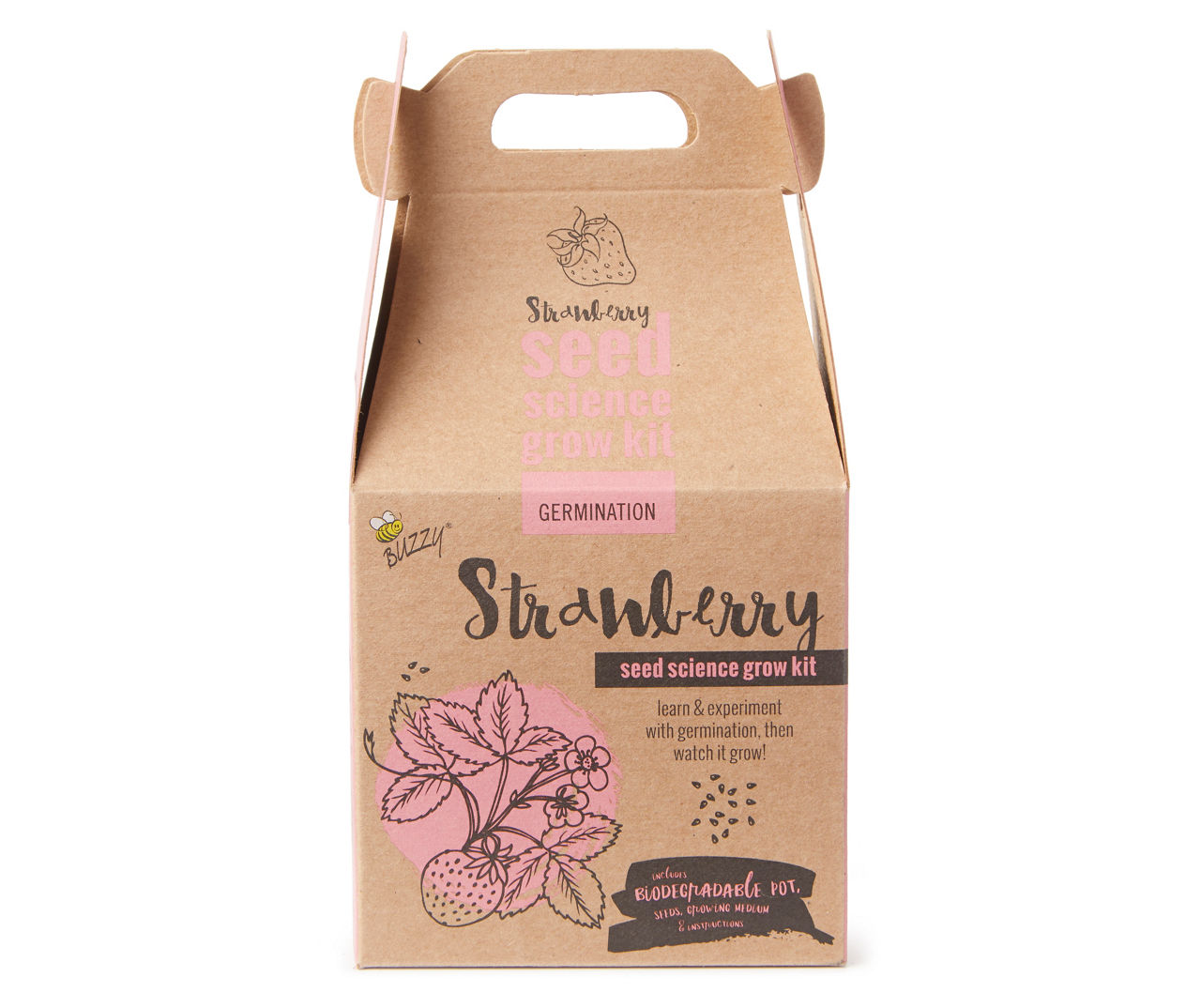 Buzzy Strawberry Science Seed Grow Kit Big Lots