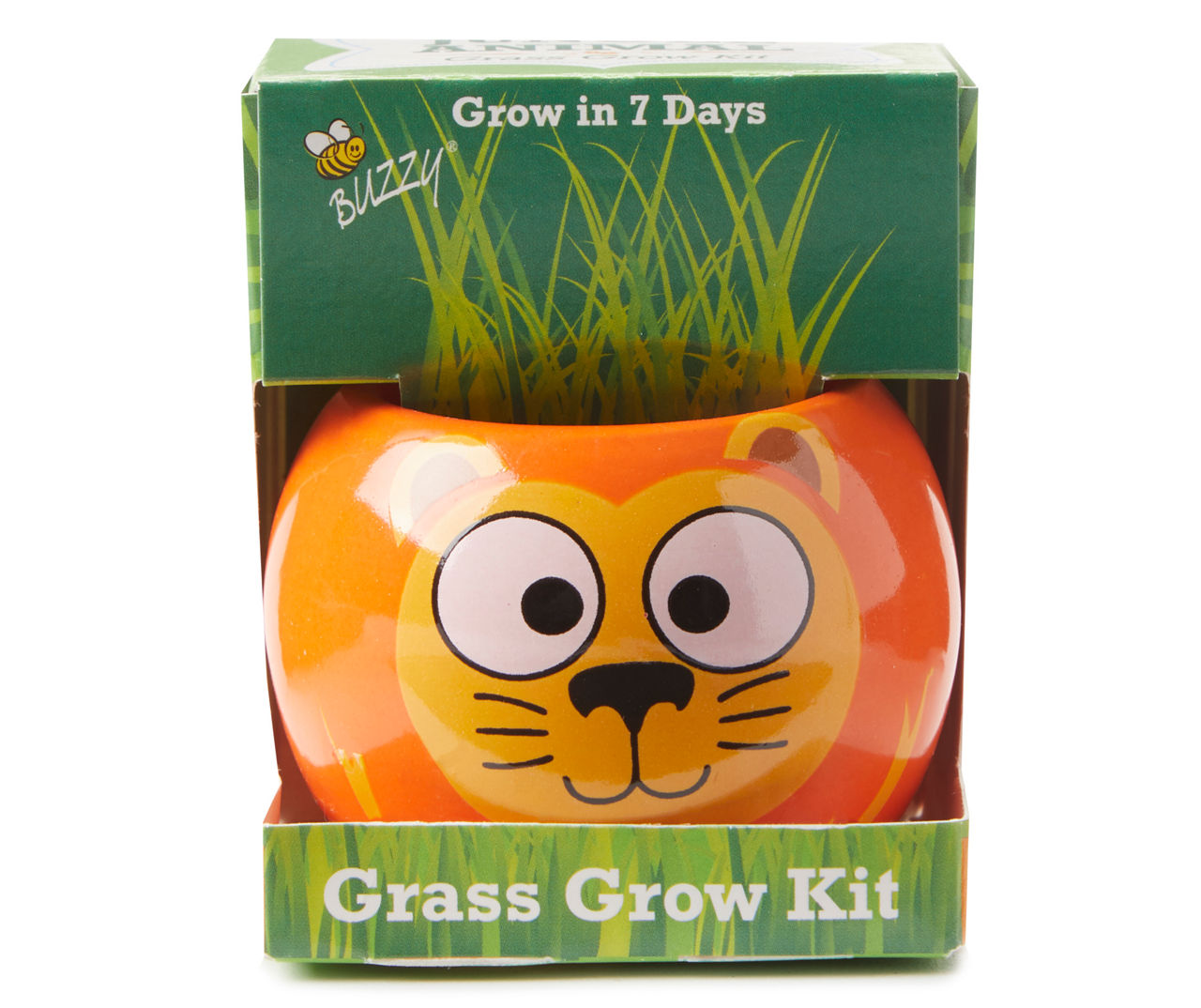 Lion Jungle Grass Grow Kit
