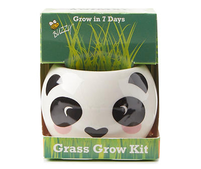 Panda Jungle Grass Grow Kit