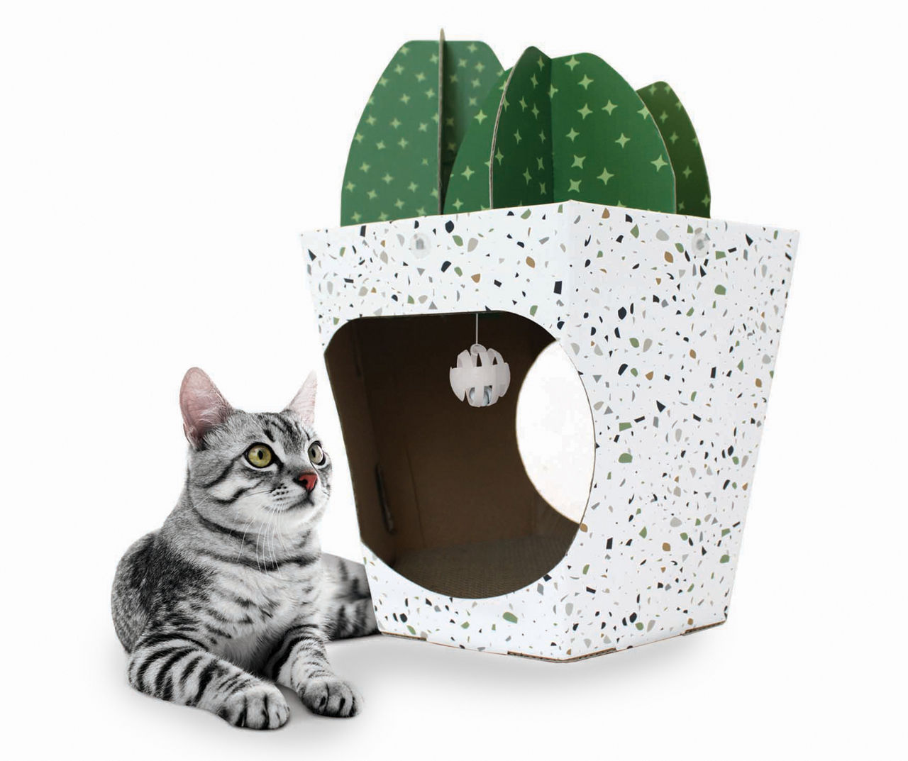 Cactus Cat Scratch House Big Lots