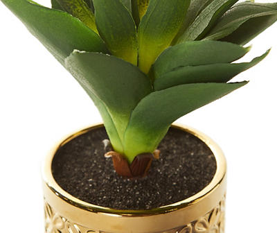 Succulent in Gold Metal Pot
