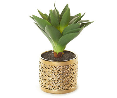 Succulent in Gold Metal Pot