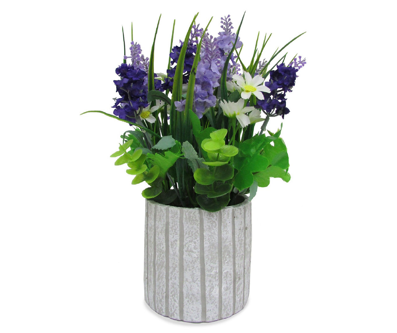 Lavender & Violet Plant in Round Pot | Big Lots