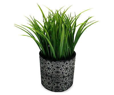 Grass Plant in Black Cement Pot