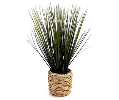 Tall Grass In Basket Woven Pot