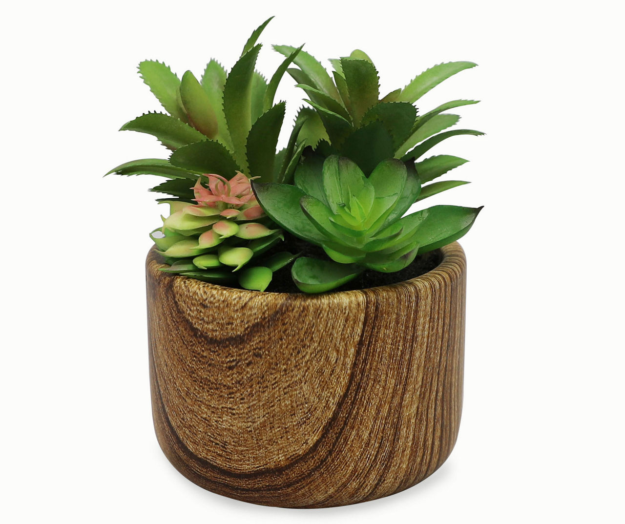 Mixed Succulents in Round Grain Wood Pot