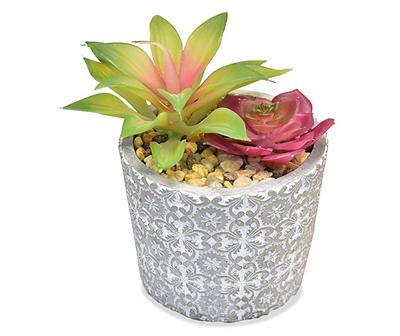 Mixed Succulents in Medallion Cement Pot
