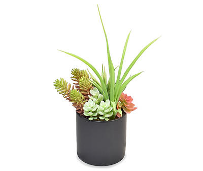 POTTED SUCCULENT