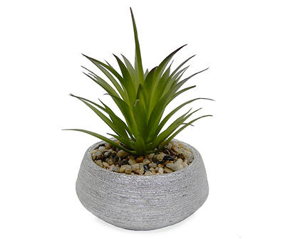 Succulent in Round Silver Ceramic Pot